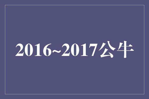 2016~2017公牛